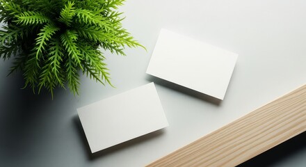 Two blank white cards with a green plant and a wooden bar on a light gray surface viewed from above