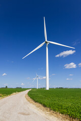 White wind mills between Soy bean fields against blue sky in Michigan countryside.