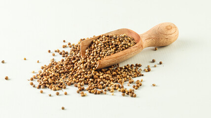 dried coriander seeds in wooden spoon isolated on white background
