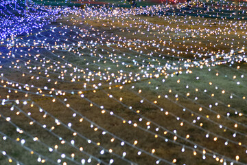 イルミネーション