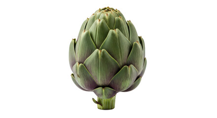 Obraz premium Single fresh green artichoke isolated studio shot healthy food ingredient organic vegetable detail isolated on transparent background
