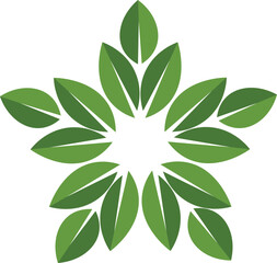 Green leaf starburst pattern abstract design on white background leaves nature