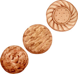 Delicious biscuits watercolor hand-drawn illustration