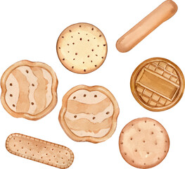 Delicious biscuits watercolor hand-drawn illustration