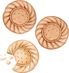 Delicious biscuits watercolor hand-drawn illustration