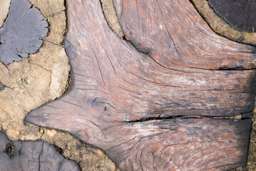 Wooden texture with natural patterns as a background, wood texture.