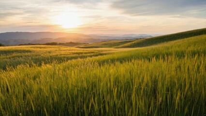 Obraz premium grasslands under a blazing sunset waves of greens