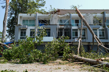Large tree fell on building, Damaging it after summer storm, Strong winds broke trees and hit...