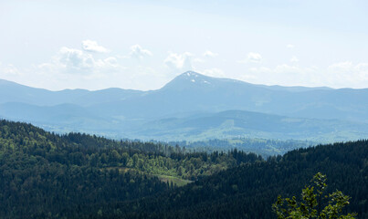 Fototapeta premium A beautiful natural landscape of Carpathian forested mountains in summer