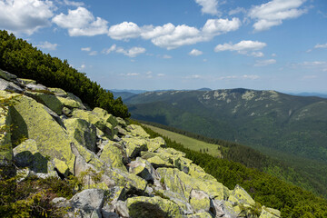 Summer mountain landscape in the Carpathians. Meadow with huge rocks.