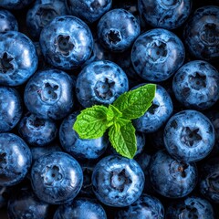Overhead shot of a pile of blueberries with a sprig of green mint