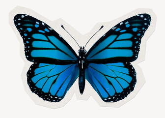 Blue butterfly sticker, beautiful collage element