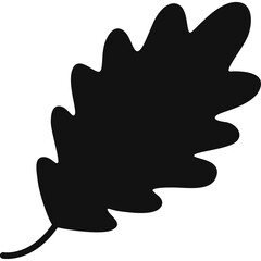 Black Silhouette of an Oak Leaf with a Stem on a Transparent Background Perfect for Autumnal Designs and Educational Material