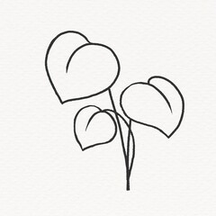 Line art linden tree leaf illustration, nature design