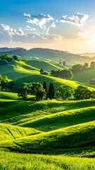 Naklejka premium Lush, green rolling hills bathed in warm sunlight