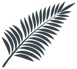 Fototapeta premium Minimalist graphic palm frond vector illustration isolated for tropical summer and botanical design