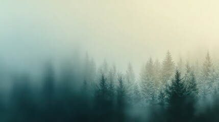 Fototapeta premium Soft Misty Forest Landscape in Early Morning Light and Fog