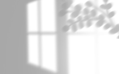 Shadow overlay effects of realistic abstract sunlight tropical leaves and window shadow on wall background on transparent for photo interior backdrop studio mockup	
