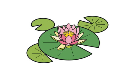 Beautiful pink water lily flower blooming on green lily pads serene aquatic plant nature isolated on white background