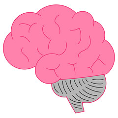 vector illustration of a brain