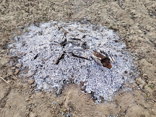 Pile of wood ash and charcoal remnants on dry soil.