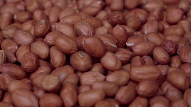 Slow Motion Close-Up of Peeled Brown Peanuts Being Spooned