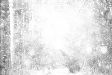 snowfall in the park, snowflakes on the background of branches, heavy thick snowfall abstract blurred background