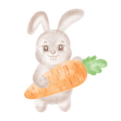 Cute little bunny with carrot. Watercolor rabbit illustration for Easter design. Hand-drawn isolated adorable hare. Smiling character for baby shower. Clip art funny forest animal for greeting card.
