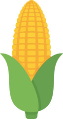 Fresh corn ear isolated healthy vegetable food ingredient vector