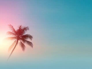 Obraz premium Silhouette of a palm tree against gradient sky
