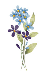 Flowers watercolor, floral clip art. Bouquet wildflowers perfectly for printing design on invitations, cards, wall art and other. Botanical illustration isolated on white background. Hand painting.