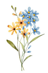 Fototapeta premium Flowers watercolor, floral clip art. Bouquet wildflowers perfectly for printing design on invitations, cards, wall art and other. Botanical illustration isolated on white background. Hand painting.