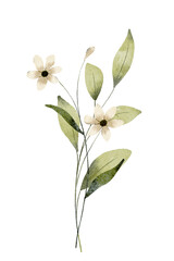 Flowers watercolor, floral clip art. Bouquet wildflowers perfectly for printing design on invitations, cards, wall art and other. Botanical illustration isolated on white background. Hand painting.