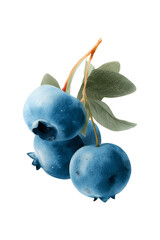 Watercolor illustration of vibrant blue blueberries with green leaves and brown stem on white background. Hand-painted realistic berry artwork for food, nutrition, healthy eating, and culinary design