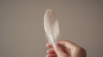 Holding a delicate white feather against a neutral background in soft lighting