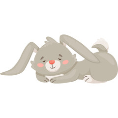 Cute Gray Bunny Rabbit Sleeping Peacefully with Eyes Closed and Pink Cheeks on a White Background