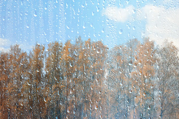 Wet weather, drops of autumn rain on the glass, autumn landscape outside the window, weather change