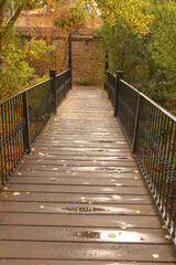 Wooden plank bridge extending through a park with autumn foliage, wet from recent rain, with scattered yellow leaves