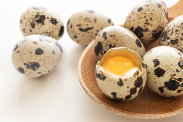 Fototapeta premium うずらの卵