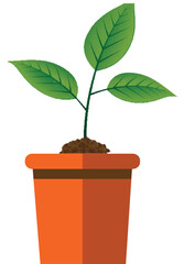 Flat Design Potted Plants in Adobe Illustrator CC  Easy Vector Illustration Tutorial