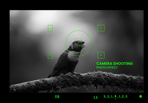 Camera shooting Photo Effect