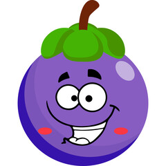 Cute Mangosteen Character Illustration