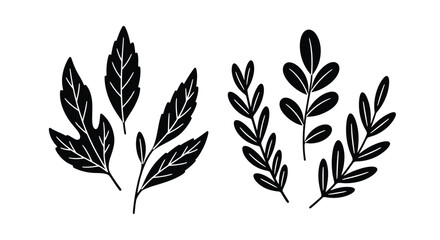 Simple black and white illustration of various leaf and branch shapes