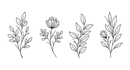 Delicate botanical line art featuring various floral and leafy elements © Lhvect02