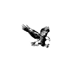 A powerful bird of prey symbol for a logo or emblem design