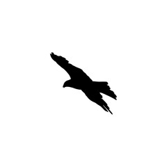 Majestic black silhouette of a powerful raptor in dynamic flight