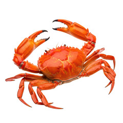 A bright orange crab with raised claws, showcasing its detailed shell and legs, isolated on a transparent background