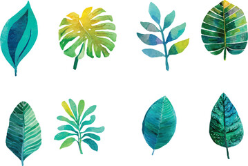 Obraz premium vector set of leaves