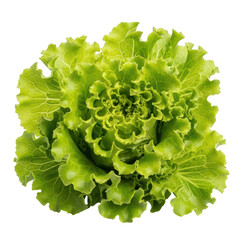 A fresh head of green leaf lettuce with ruffled edges, isolated on a transparent background