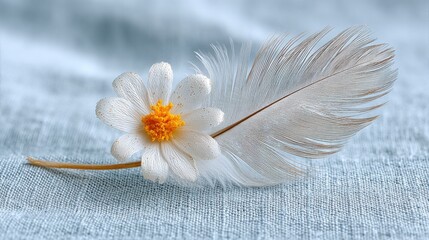 White daisy and feather on light blue fabric background